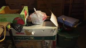 lot 674 image: Christmas Decor, Lights, Trees. Large Lot