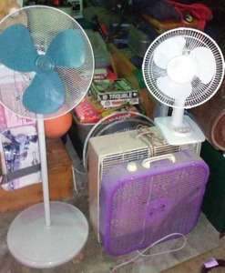 lot 694 image: Fan Variety (5)