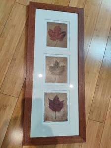 lot 74 image: Leaf Framed Art