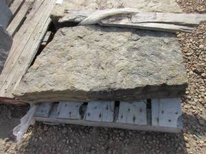 lot 83 image: BUCKSKIN STEPS