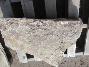 lot 99 image: FONDULAC AND CHILTON OUTCROPPINGS