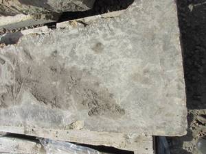 lot 102 image: KASOTA LIMESTONE OUTCROPPINGS
