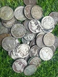 lot 34 image: Lot of 50 Buffalo Nickels