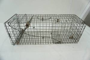 lot 137 image: Live trap
