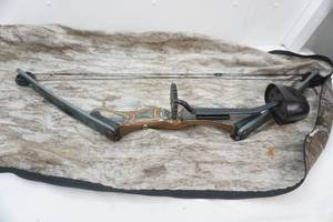 lot 184 image: Compound Bow & Case