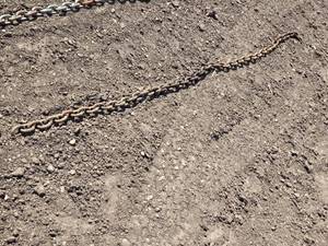 lot 188 image: Sturdy Heavy-Duty Metal Chain - About 9 Long