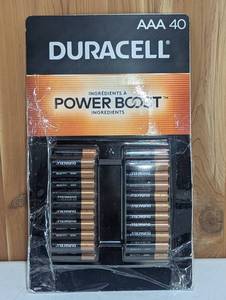 lot 16 image: Duracell CopperTop AAA Alkaline Batteries - Long Lasting, All-Purpose Triple A Battery for Household and Business 40 Count