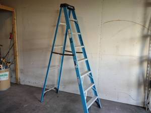 lot 33 image: Werner 8 250 lb. Fiberglass Step L...