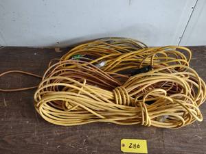 lot 286 image: (5) 50 Extension Cords...