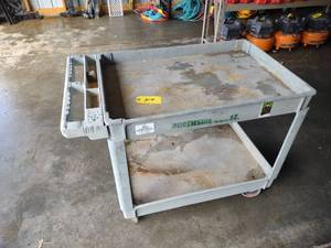 lot 314 image: Poly Cart, 24x36...