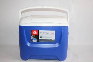 lot 248 image: Igloo Island Breeze 28 Quart Cooler