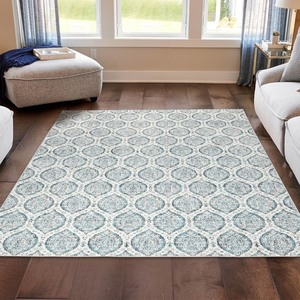 lot 17 image: Wyatt and Ash 3x5 Washable Area Rug