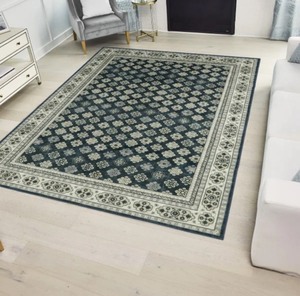 lot 24 image: Wyatt and Ash 5x7 Washable Area Rug