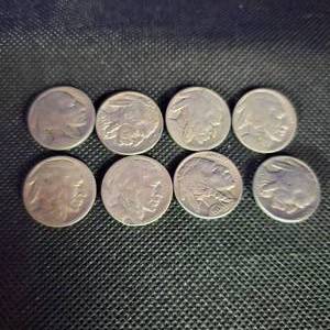 lot 105 image: 8-Buffalo Nickels