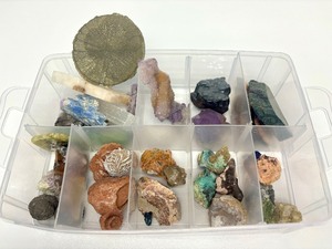 lot 104 image: Excellent Estate Lot of Larger Size Exotic Stones, Minerals Fossils & More #4