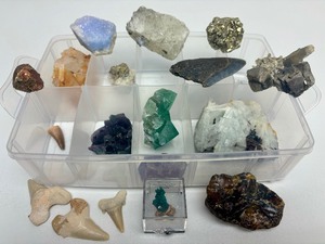 lot 103 image: Excellent Estate Lot of Larger Size Exotic Stones, Minerals Fossils & More #3