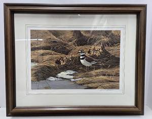 lot 155 image: Framed Signed Numbered ROBERT BATEMAN Wildlife Print - Spring Thaw - Killdeer