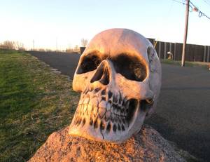 lot 165 image: HUGE Working Electronic Lighted & Talking Display Skull - WORKS GREAT