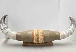 lot 251 image: Large Genuine Western Style Bull Horn Wall Display 