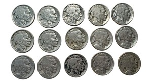 lot 13 image: Collection of 15 Buffalo Nickel Coins