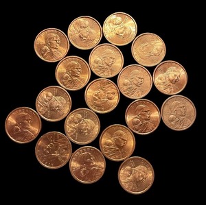 lot 42L image: Collection of 20 Sacagawea Dollar Coins - Various Years