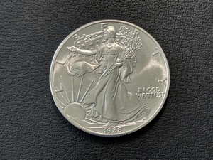 lot 5 image: 1988 Silver Eagle