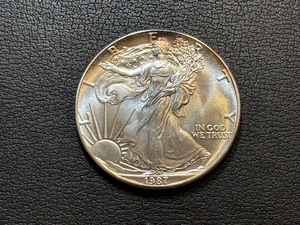 1987 Silver Eagle