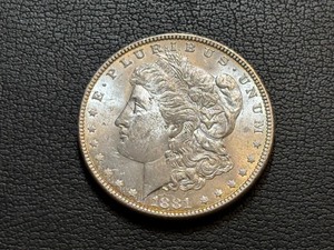 1881 Morgan Dollar