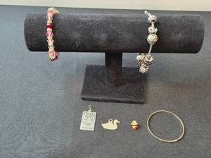 lot 107 image: Assorted Jewelry Lot Charm Bracelets and Pendants - display not inc