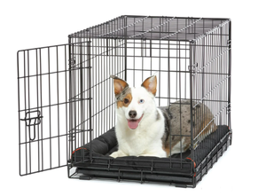lot 280 image: Vibrant Life Single Door Folding Metal Wire Dog Crate with Divider and Tray