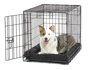 lot 496 image: Vibrant Life Single Door Folding Metal Wire Dog Crate with Divider and Tray