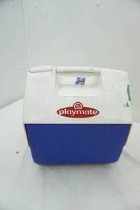 lot 137 image: playmate cooler 6 pack