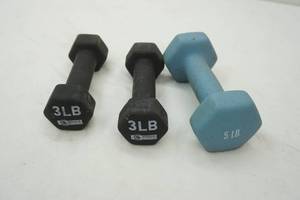 lot 263 image: dumbbell weights