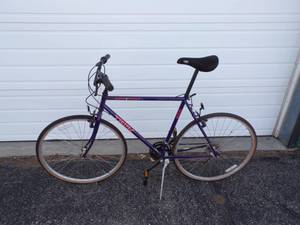 lot 44 image: Trek  21 Speed Bike