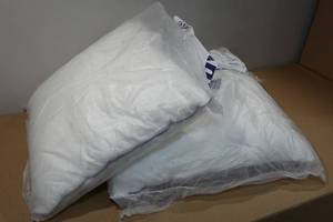 lot 37 image: 2 Throw Pillow Inserts - 20x20