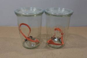 lot 72 image: 2 Weck 34L Mold Canning Jars