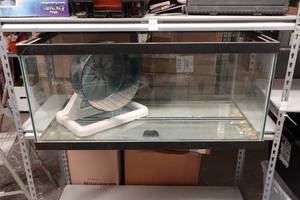 lot 199 image: Large Tank with Hamster Wheel