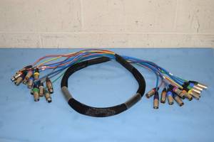 lot 111 image: 6 Foot  Feet Pro Audio Snake with XLR and Network Connectors