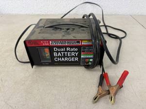 lot 23 image: Dual Rate Battery Charger