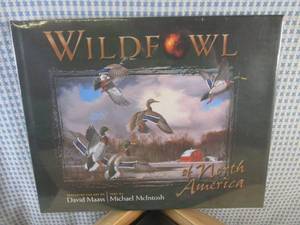 lot 142 image: (CSB) Box of 8 New Wildfowl of Nort...