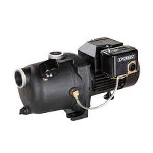 Everbilt 3/4 HP Shallow Well Jet Pump    Customer Returns See Pictures