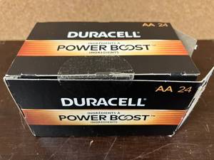 lot 17 image: Duracell AA Batteries