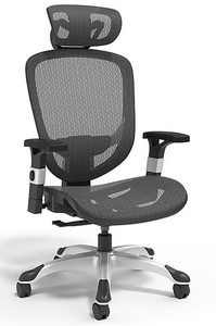 Hyken Ergonomic Office Chair