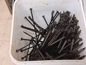 lot 1011 image: Lot of (1 Bucket) 12 Screws  Square Drive