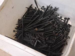 lot 1012 image: Lot of (1 Bucket) 5 Screws  Phillips Drive