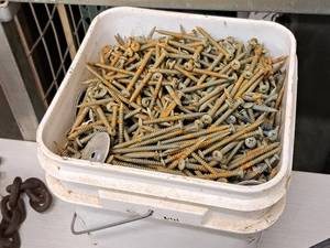 lot 1013 image: Lot of (1 Bucket) 3 Screws  Phillips Drive