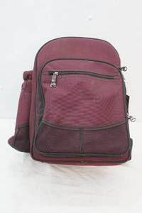 lot 220 image: Picnic Backpack