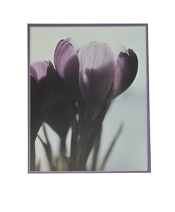 lot 75 image: Lovely Signed Floral Print