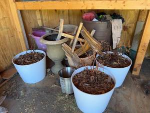 lot 220 image: Collection of Gardening Pots and Tools with Decorative Urns