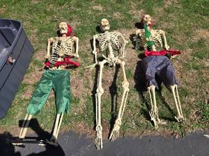 lot 252 image: Collection of Halloween Decor Skeletons and Skull Decorations